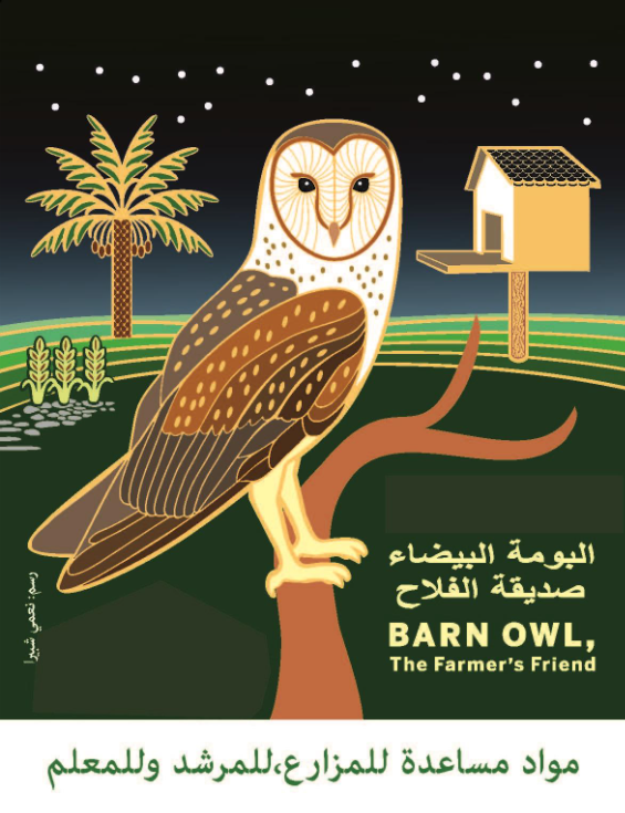 Une image contenant texte, hibou, Oiseau de proie, oiseau
Le contenu généré par l’IA peut être incorrect.